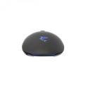 White Shark ARTHUR (GM-9005) gamer egér,9D, fekete, 10000 dpi, RGB